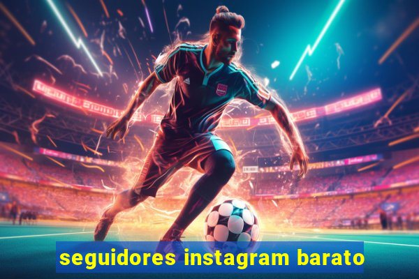 seguidores instagram barato